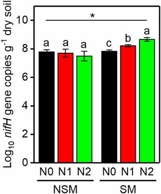 Straw Mulching and Nitrogen Fertilization Affect Diazotroph Communities in Wheat Rhizosphere